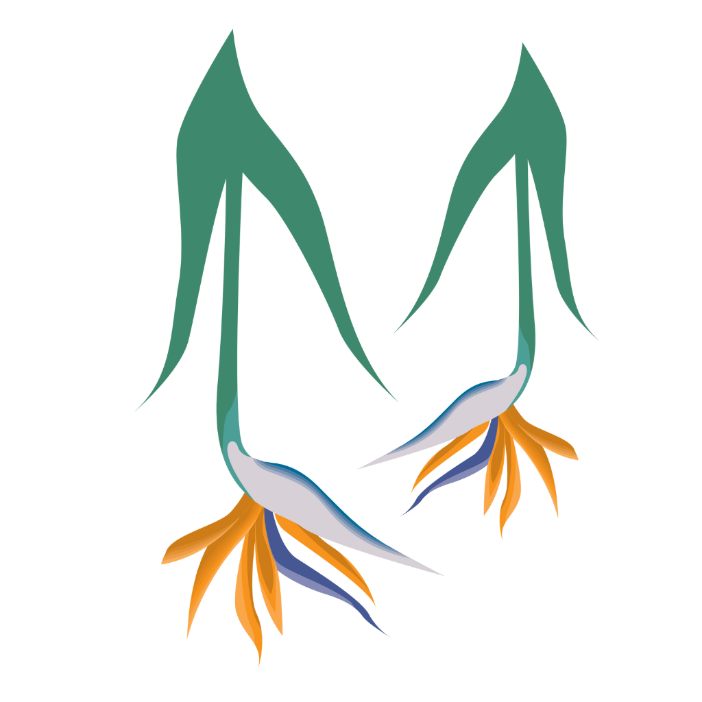Design sem nome (3)