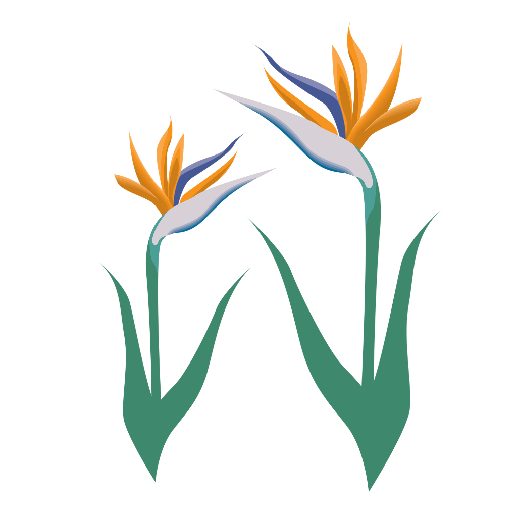 LOGO VETORIZADA